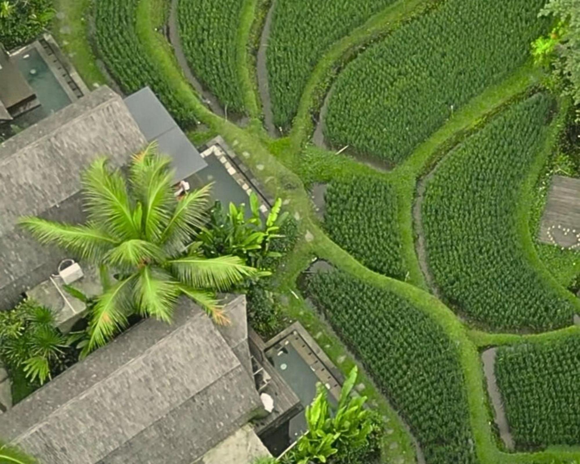 Menzel Ubud Ngoại thất bức ảnh